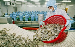 Cơ hội đẩy mạnh xuất khẩu tôm